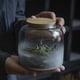 thumbnail image 1 of Frasco de vidrio transparente con tapa de bambú para té hirviendo, nube de niebla, frasco de té portátil para té Puer, frasco de té Tieguanyin, 1 of 4