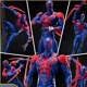 thumbnail image 5 of Nueva figura de 17 cm de Spider-Man 2099 Shf SHFiguarts Spider-Man Across The Spider-Verse Part One, estatua, figurita, regalos, juguetes, 5 of 5