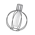 thumbnail image 3 of Florero de de ambre con forma geométrica única de hidropónica para decoración escritor Soledad Soporte de florero de hierro, 3 of 8