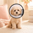 thumbnail image 7 of Pet Elizabethan Collar, Transparent Plastic Recovery Cone with Breathable Mesh, Soft Foam Edges, Adjustable E-Collar for Cats, Puppies, Medium Dogs, 7 of 7