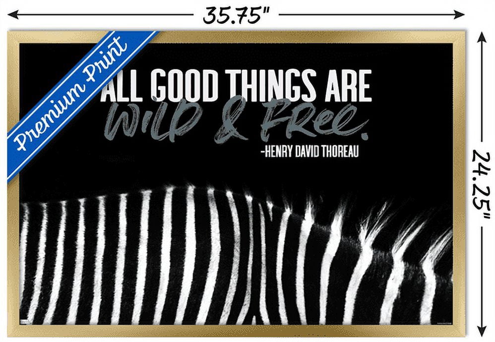 Tara Robinson - Thoreau Wall Poster, 22.375" x 34", Framed