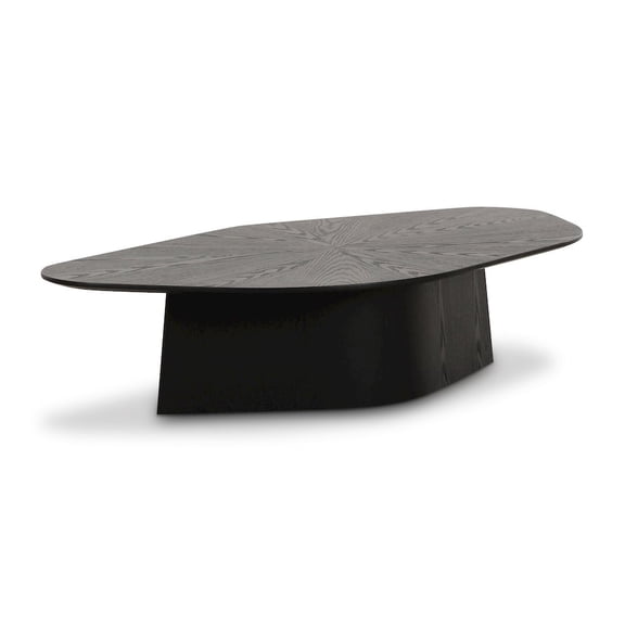 TOV Furniture Roche Black Ash Low Coffee Table