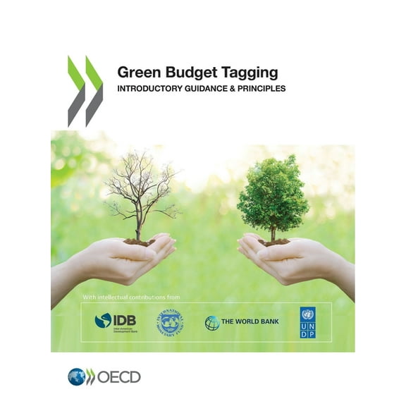 Green Budget Tagging, (Paperback)