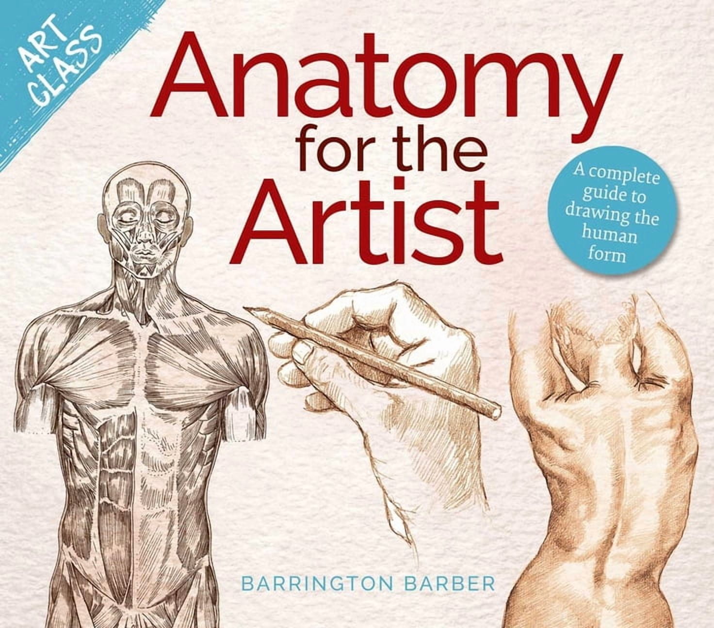 Tom Fox Anatomy for Artists: Drawing Form & Pose Paperback