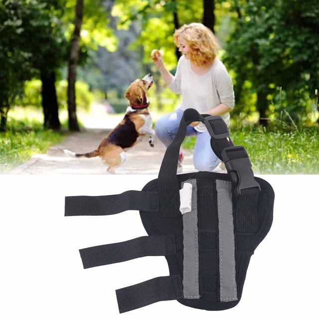 Hind Dog Hind Leg Brace Soporte Estable Rodilleras Protector De Pierna Trasera Para Cachorro Para Recuperación De Cirugía