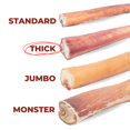 thumbnail image 3 of Bully Bunches 12" Thick Bully Sticks Odour Free All Natural Dog Chews 10 Pack, 3 of 10