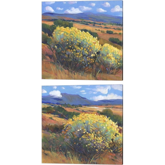 Great Art Now Chamisa by Timothy O'Toole 2 Piece Canvas Art Set Each 14W x 14H