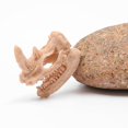 thumbnail image 3 of Dinosaur Skull Resin Sculpture Statue Skeleton Model Fish Tank Ornaments, 3 of 6