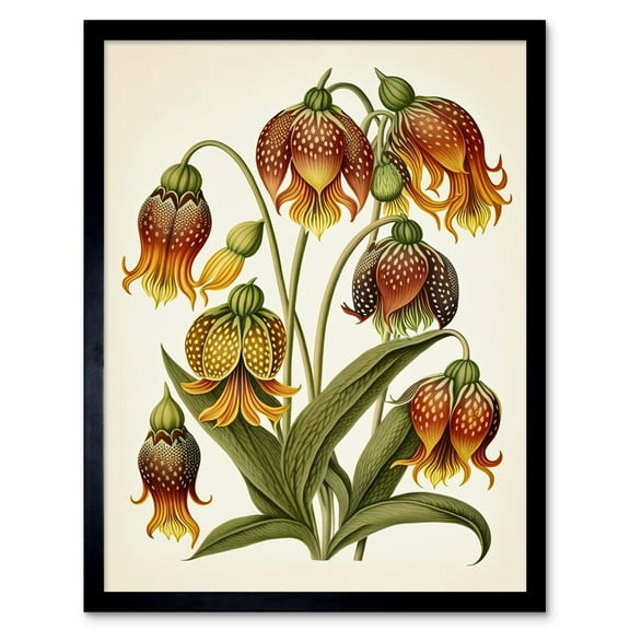 Ernst Haeckel Inspired Fritillaria Flower Plant Study Modern Watercolour Painting Illustration Art Print Framed Poster Wall Decor 12x16 inch
