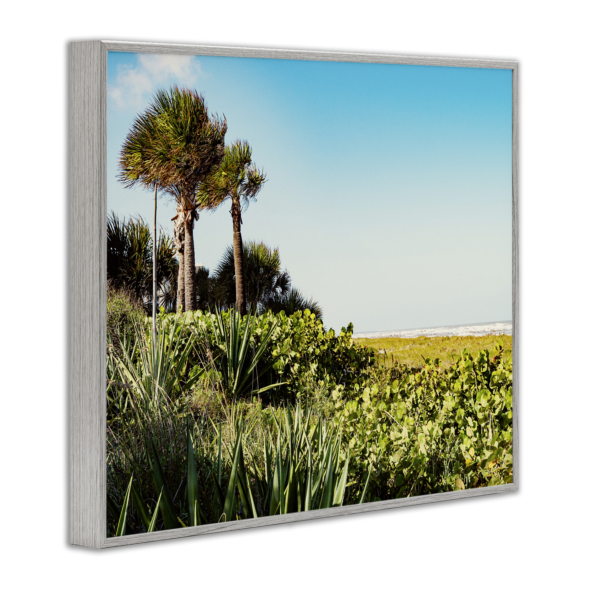 Stupell Industries Lush Tropical Shoreline Landscape Photography Gray Framed Art Print Wall Art, 20 x 16