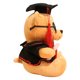 thumbnail image 5 of BRIGHTFUFU Muñeco de oso de graduación, juguete de oso de peluche, estatuilla de oso de graduación, suministros para fiesta de graduación, 5 of 8