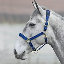 Shires Topaz Leather Breakaway Nylon Halter Blue XSmall Pony