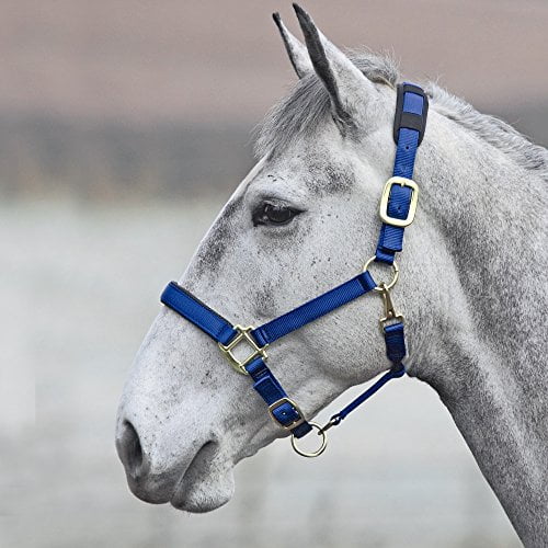 Shires Topaz Leather Breakaway Nylon Halter Blue XSmall Pony
