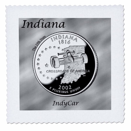 3dRose State Quarter Indiana - Quilt Square, 8 by 8-inch
