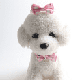 thumbnail image 2 of Collar para mascotas con estampado floral y cuadros, collar para gato con lazo y cascabel, 2 of 6