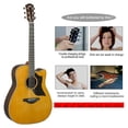 thumbnail image 2 of Guitar Bridge Pins 6Pcs, Brass Endpin Pegs Fixed Cone, with Bridge Pin Puller Remover & 5 Guitar Picks, 2 of 5