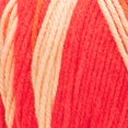 thumbnail image 3 of Red Heart® All In One Flower Power™ #4 Worsted (Medium) Acrylic Yarn, 8.8oz/250g 417 Yards, 3 of 5