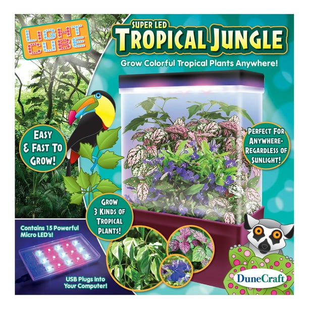 LED Light Cube Terrariums, Tropical Jungle