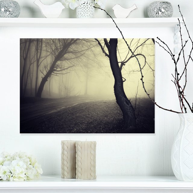Old Looking Fall Forest Shoot - Landscape Photography Canvas Print
