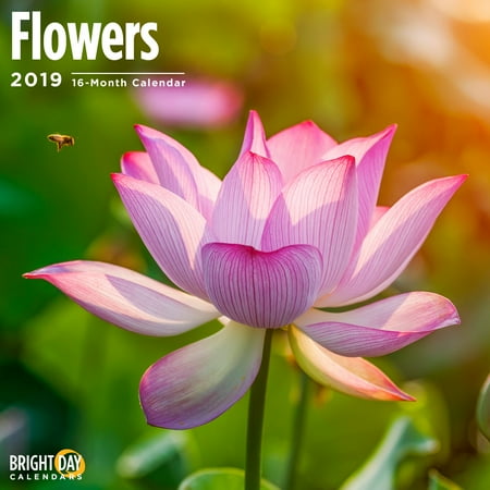 Flowers 2010 Wall Calendar - Flowers 2019 Wall Calendar Beautiful Floral Garden Flower Plants Photography Gift