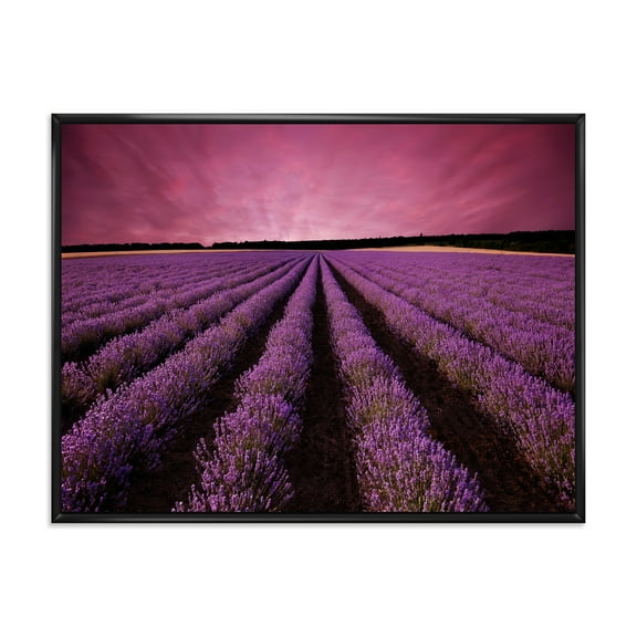 Designart 'Dramatic Clouds and Sunrise Over Lavender Field XI' Farmhouse Framed Canvas Wall Art Print