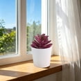 thumbnail image 3 of Artificial Potted Plants with White Plastic Pots for Home and Office Decor, Small Flower Arrangements for Indoor Spaces, 3 of 5