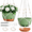Green, variant on Berallo 2-Pack 9.6-inch Self-Watering Hanging Planters, 3-Way Plant Pots with Drainage Holes,Macrame & Chain Hangers for Indoor & Outdoor Use , White
