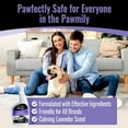 thumbnail image 4 of EBPP Lavender Pet Stain and Odor Remover Spray Enzyme Cleaner for Home, 32 fl Oz, 4 of 8