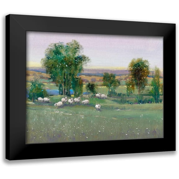 OToole, Tim 14x12 Black Modern Framed Museum Art Print Titled - Field of Sheep II