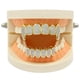 thumbnail image 4 of 18 Chapado en Oro 3A Parte Inferior de Circón Rejillas CUSTOM de de Boca - # 1 Yinane Dientes de la boca Grills tapas, 4 of 8