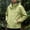 Green, variant on FEIIBMOYRIA Men's Windproof Jackets Men Solid Color Water Prooft Hooded Windbreaker Jackets with Multiple Zipper Pockets Casual Fashion Snap Button Full Zip Daily Outdoor Coats