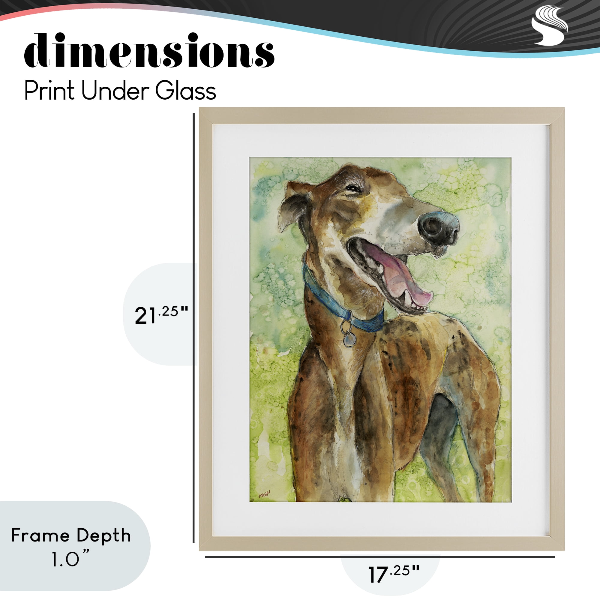 Stupell Industries Greyhound Smile Watercolor Birch Framed Print Under Glass, design by Patti Mann