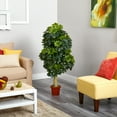 thumbnail image 3 of Nearly Natural 5' Schefflera Artificial Tree (Real Touch), 3 of 3