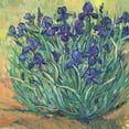 thumbnail image 2 of OToole, Tim 15x15 White Modern Wood Framed Museum Art Print Titled - Irises in Bloom I, 2 of 4