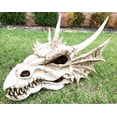 thumbnail image 4 of Ebros Large Elder Dragon Skull Statue Legendary Erathia Fossil Skeleton 18"L Figurine, 4 of 7