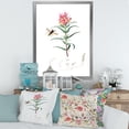 thumbnail image 3 of Designart 'Ancient Insects and Plants I' Farmhouse Framed Art Print, 3 of 4