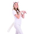 thumbnail image 1 of Aristocats Duchess Costume Kit, 1 of 6