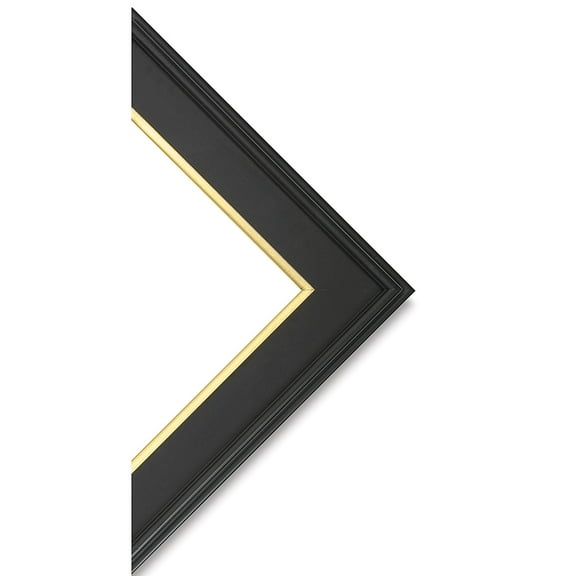 Blick Simplon Frame with Liner- 12" x 16" x 5/16", Black/Gold
