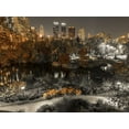 thumbnail image 2 of Frank, Assaf 18x15 White Modern Wood Framed Museum Art Print Titled - Evening view of Central Park in New York City, 2 of 4
