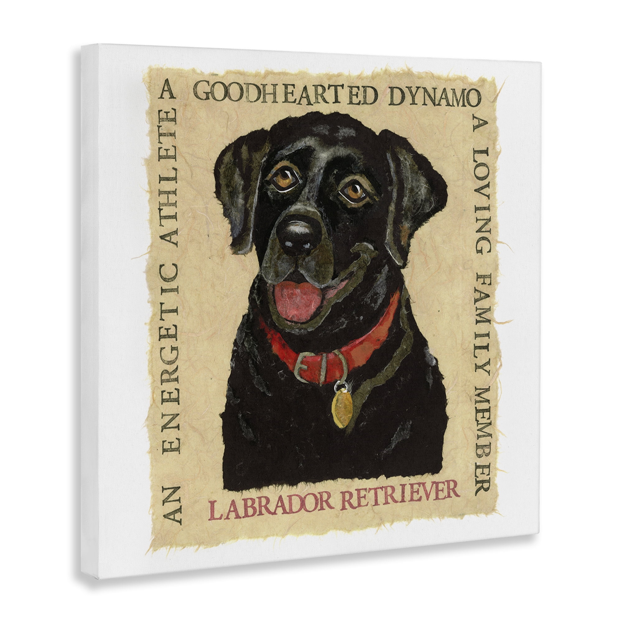 Stupell Industries Fun Black Labrador Phrases Animals Painting Wrapped Canvas Art Print Wall Art, 36 x 36