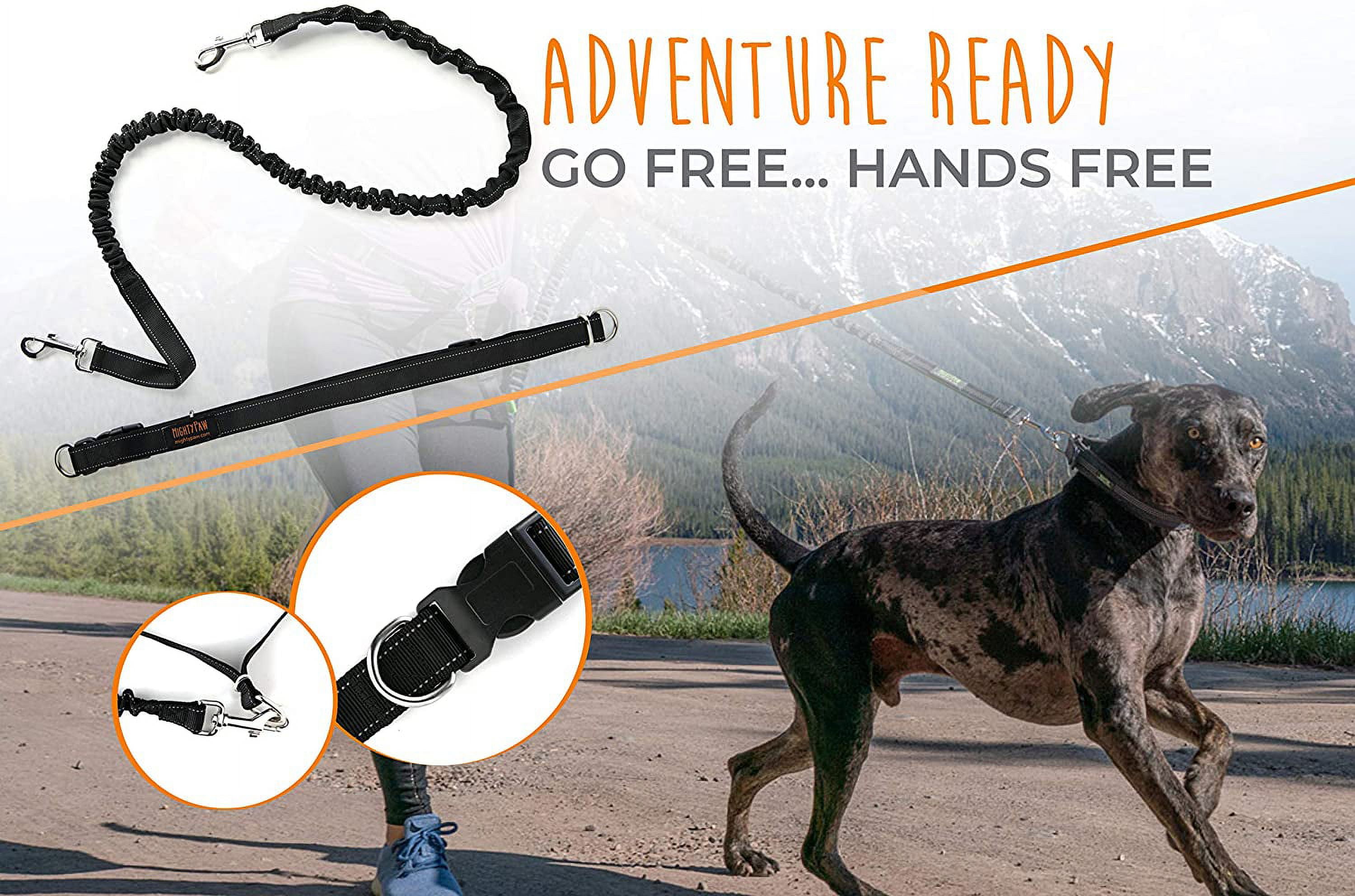 Mighty Paw Hands Free Dog Leash | Reflective Bungee for Running, Walking, Hiking, Jogging, Training