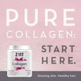 thumbnail image 2 of Zint Collagen Peptides Powder XL (32 oz): Paleo-Friendly, Keto-Certified, Premium Hydrolyzed Collagen Protein Supplement, 2 of 6