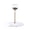 Black, variant on KYAIGUO Stable Cat Toys Cat Food Storage High Elasticity Cat Toy Box Cat Feeder Ball Interactive Kitten Toy for Bored Cats