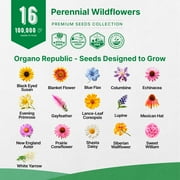 Organo Republic - 16 Perennial Wildflower Mix Seeds Varieties-100,000+ Non-GMO Heirloom Garden Seeds