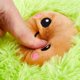 thumbnail image 2 of Cute Plush Avocado Toy Mini Cozy Plush Pillow Doll Cojín para Navidad Regalo de cumpleaños Dormitorio Sala de estar,11 Feliz Sencillez, 2 of 4