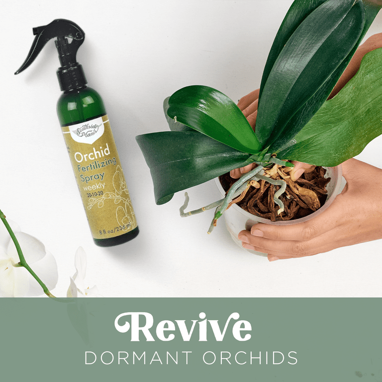 Spray Vital Westland Pour Orchidées 250 Ml – Soin Feuilles, Revitalisant & Floraison Prolongée