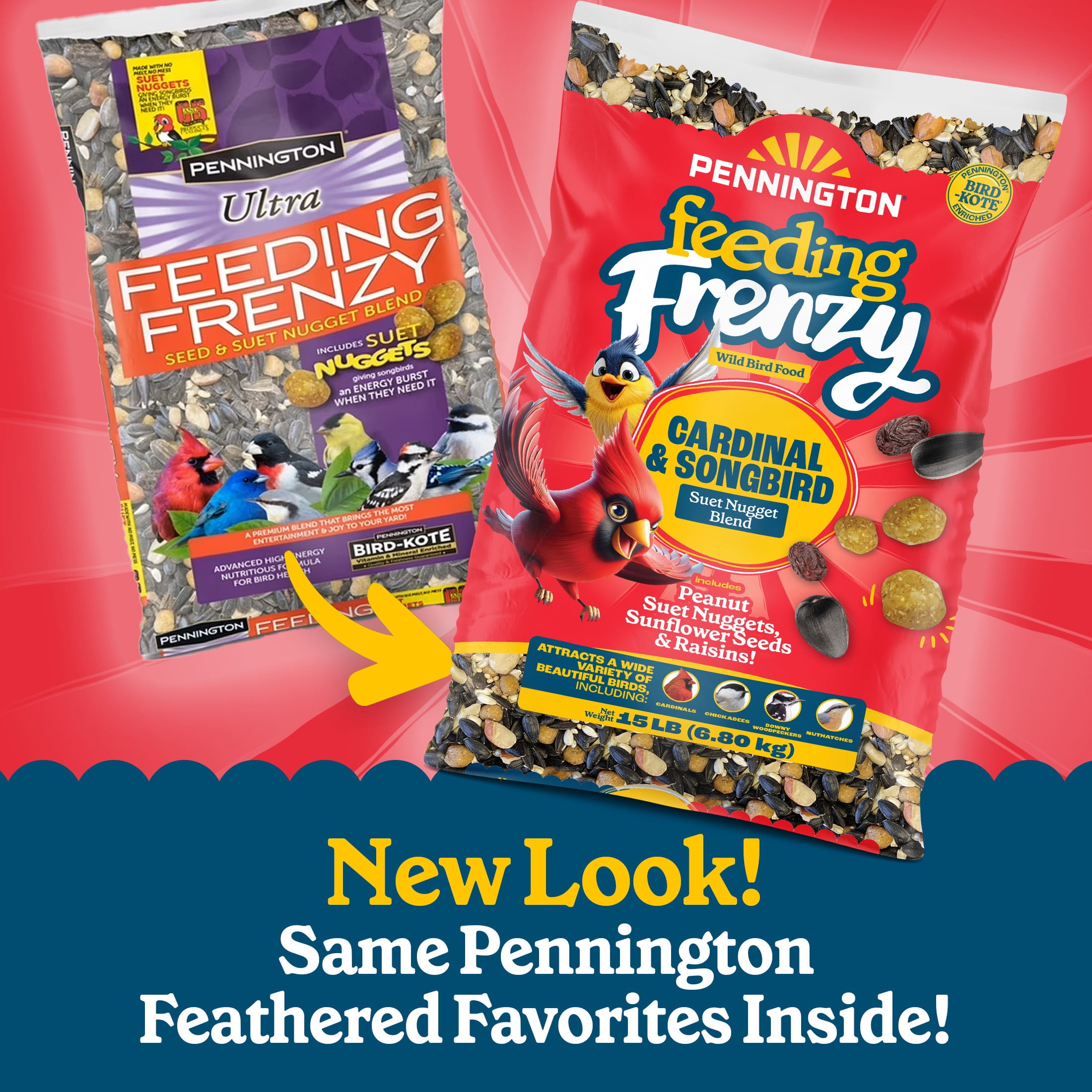 Pennington Feeding Frenzy Cardinal and Songbird, Wild Bird Food Blend, 15 lb