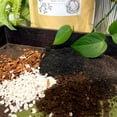 thumbnail image 2 of Biochar, 2 of 4