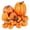 A, variant on BinKFF 12 Pcs Pumpkin Fall Decorations, Decorative Mini Small Outdoor Foam Plastic Fake Faux Artificial Pumpkins for Autumn Harvest Festival Halloween Thanksgiving Home Table Decor