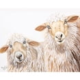 thumbnail image 3 of Fifer, Diane 18x15 Black Modern Framed Museum Art Print Titled - Ba Ba White Sheep, 3 of 5